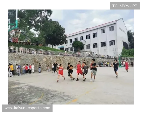 篮球规则详解：回场违例的定义与判定标准